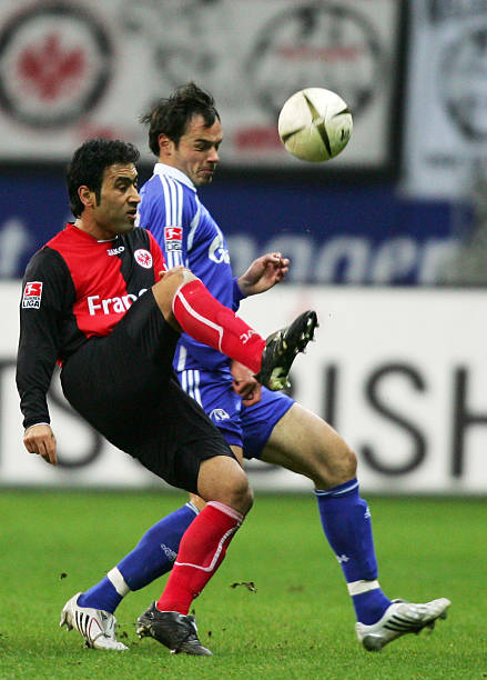 尽管外界对 尽管外界对